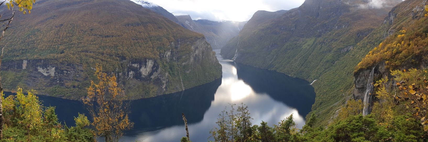 Macro trader and gambler banner