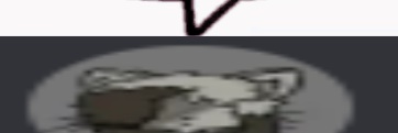 SARiscool banner