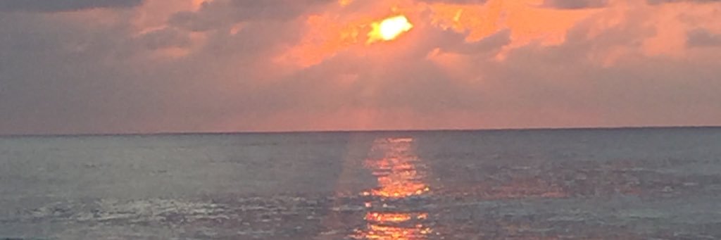 Ymcgee14's profile banner image