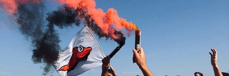 anicardoz0's profile banner image