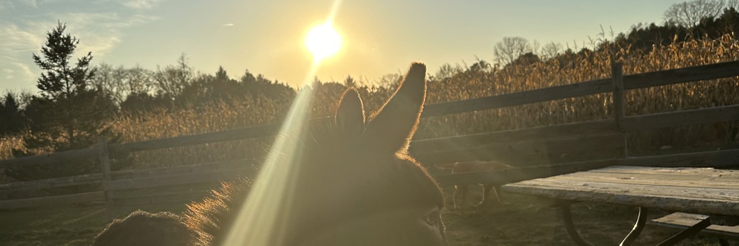 HaverHeidi's profile banner image