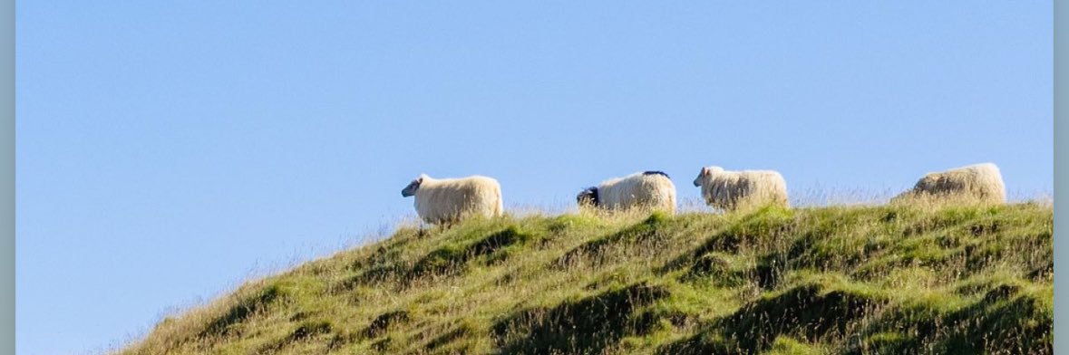 Alexandria Beck banner