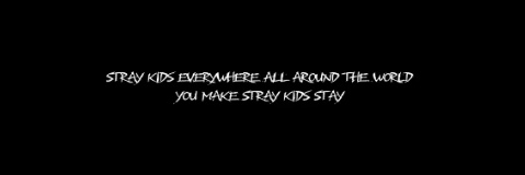 raphs | VIU O STRAYKIDS 🦢 banner