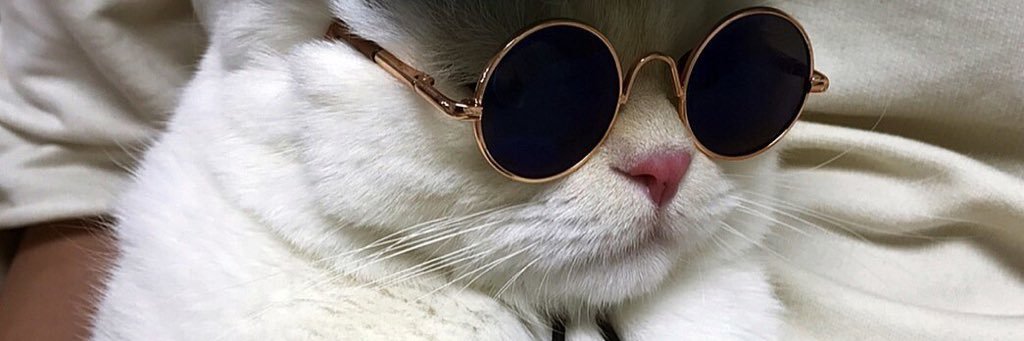 PashaBesedin's profile banner image