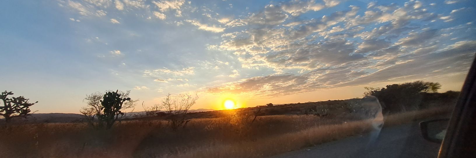 Dilugarciaa's profile banner image
