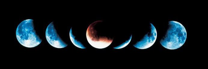 SÉRGE BEAR / 📍Rio 🇧🇷 banner