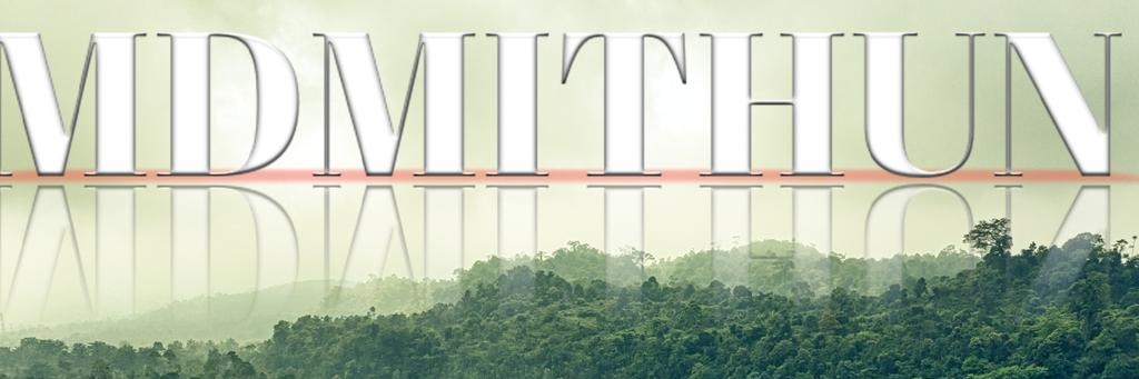 MD Methon banner