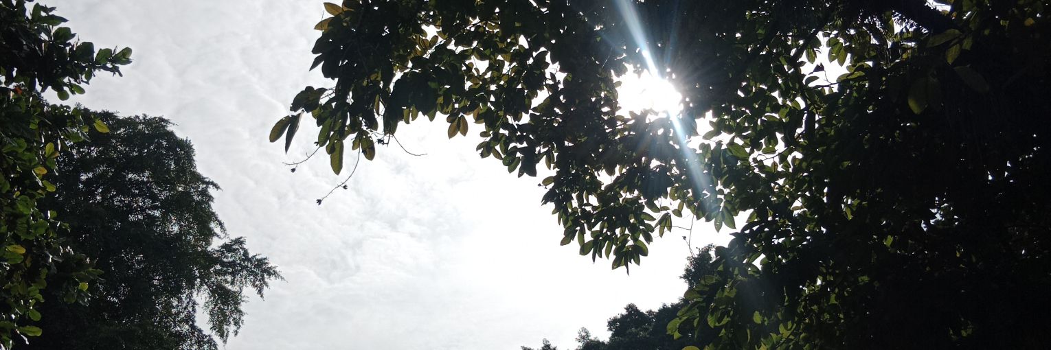 Bien ⭐ banner