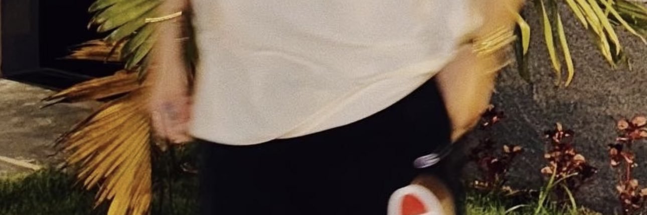 lucaspontex's profile banner image