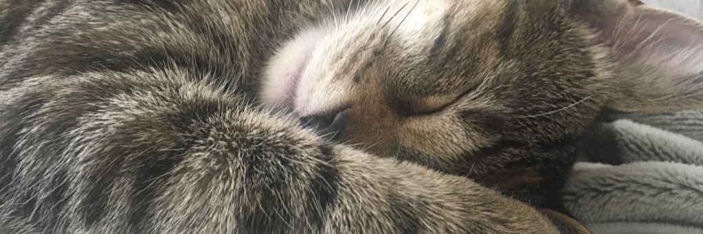 Cherlynn's profile banner image