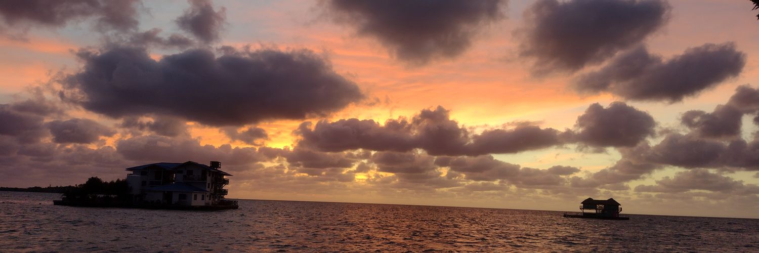 elgatolopez_'s profile banner image