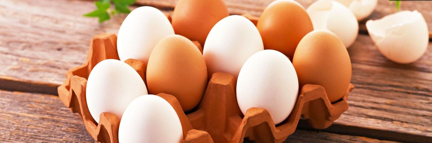 Project Eggroll 🥚🥚's banner