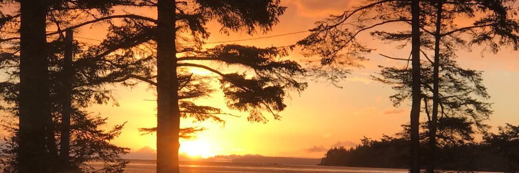 ireton's profile banner image