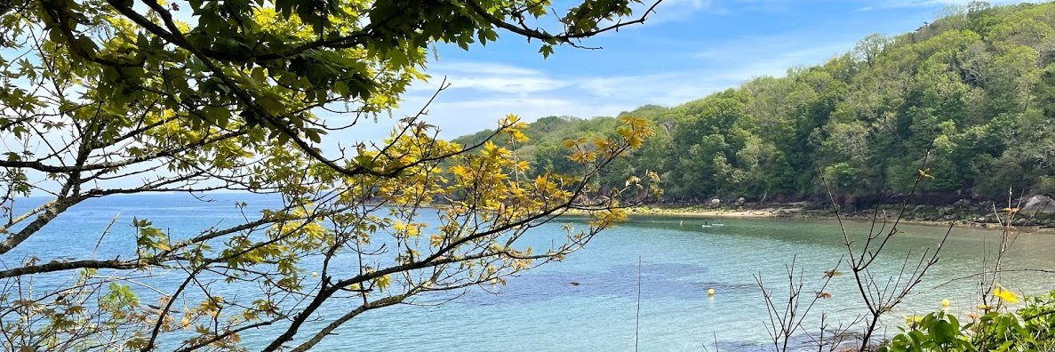 Robert Botha 🇿🇦🇬🇧 banner