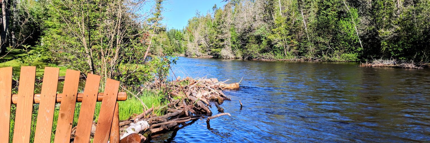 Billy Schrage banner