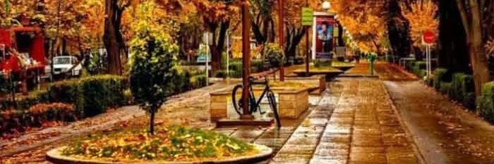 مریم محبی's banner