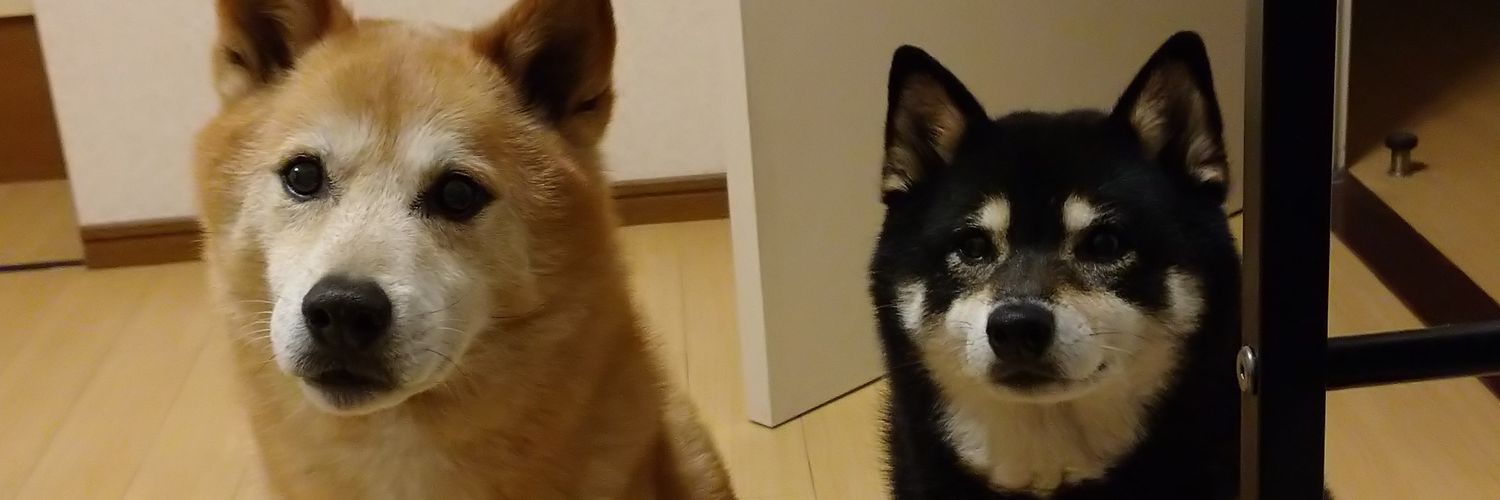 define_black's profile banner image
