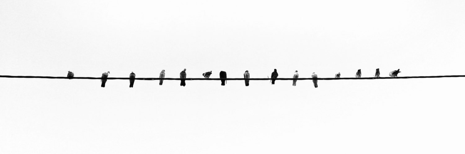 SofiaRedaSR's profile banner image