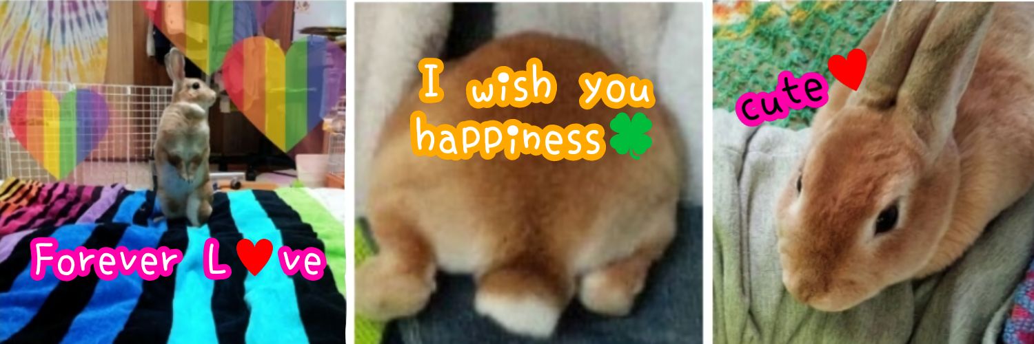 Monko🐼⚤ banner