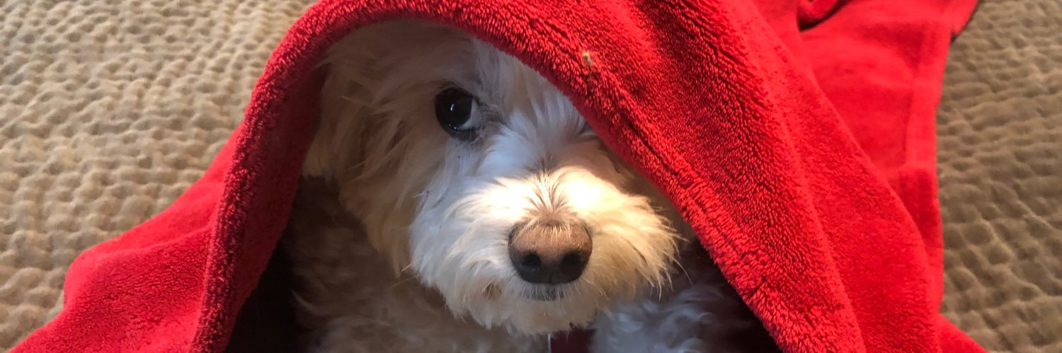 deeswyt's profile banner image