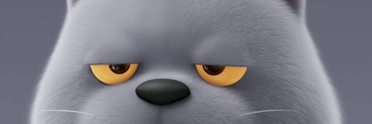 boy banner