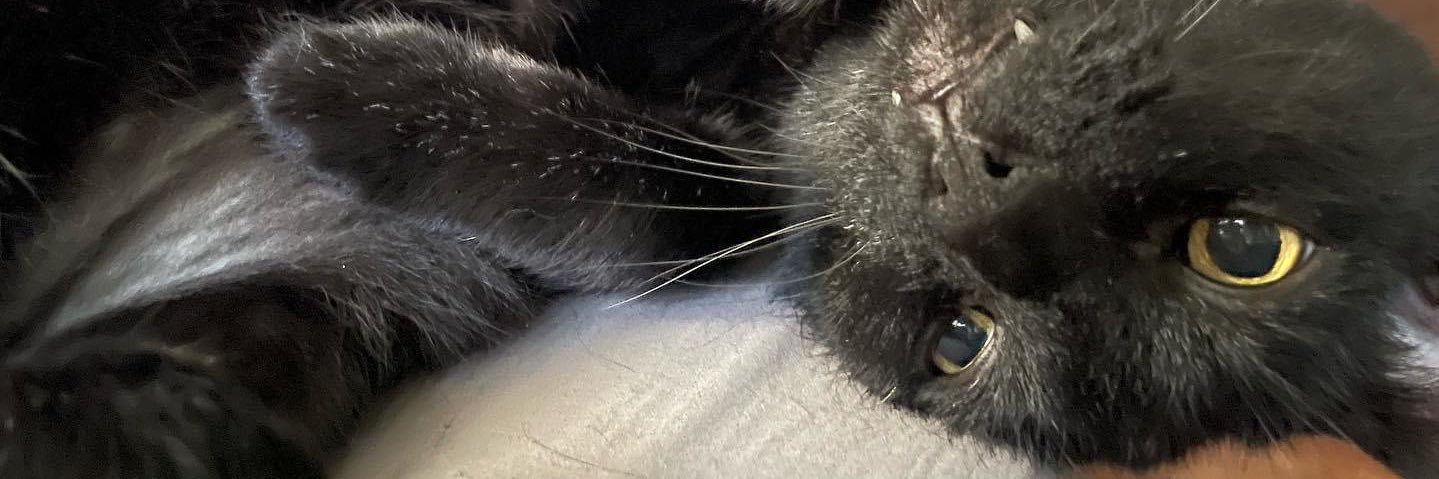 Jer | OrganzaExtravaganza - YT banner