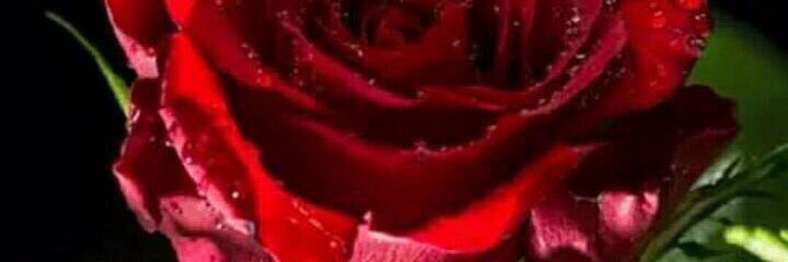 bb9bbm's profile banner image