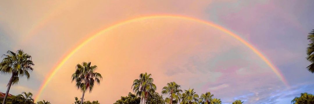 rainflower1519's profile banner image