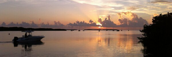 p_strauch Profile Banner