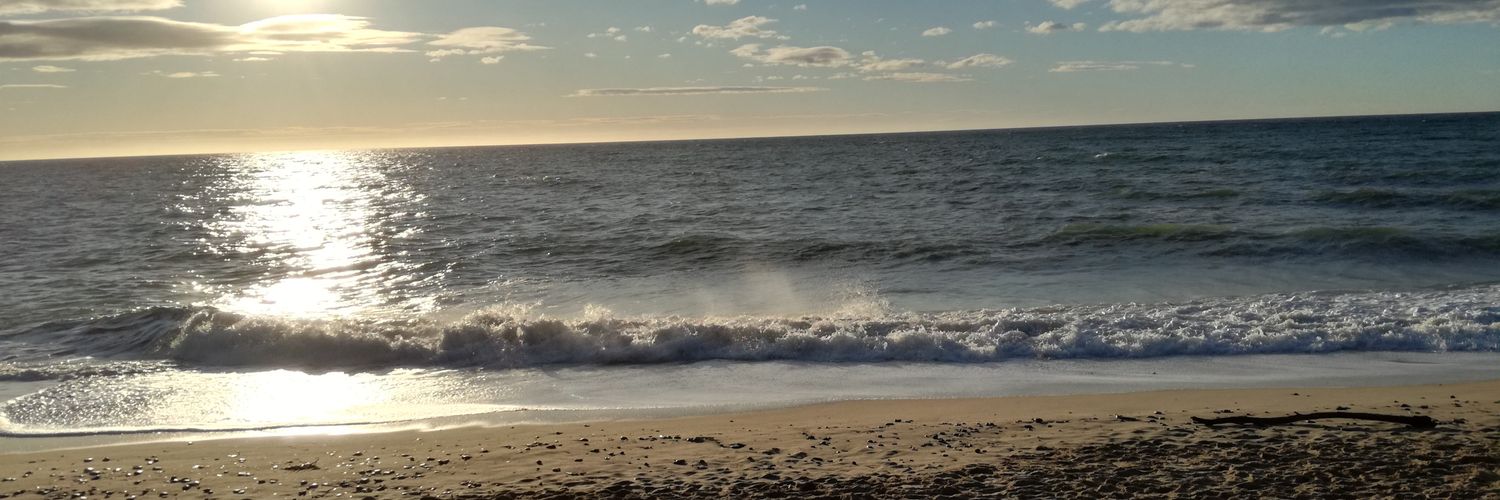 mhorra1's profile banner image