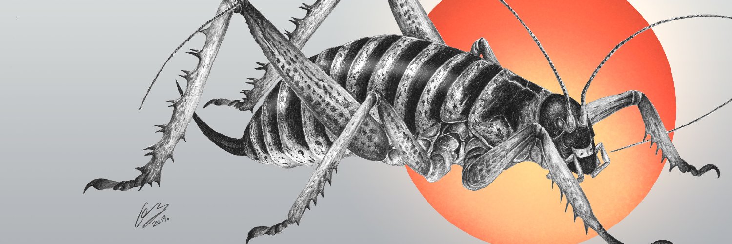 Dr. Octavia Cade banner