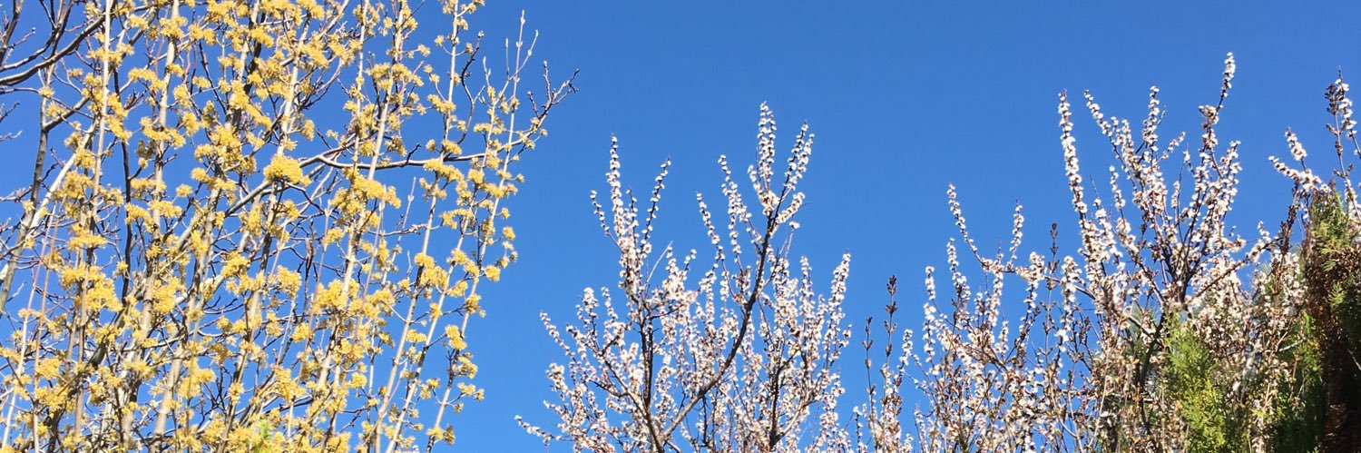 tgcyoga's profile banner image