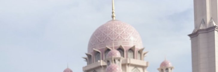 z5ozm1 banner
