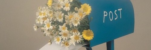harryquiffs's profile banner image