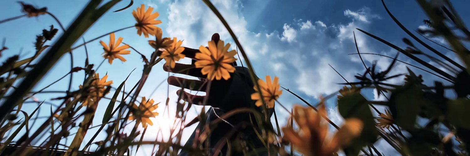 WecalloL's profile banner image