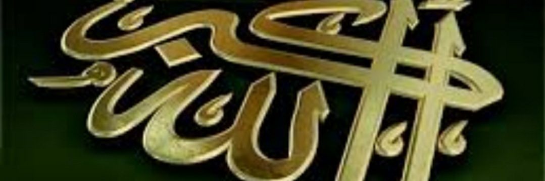 jorid1231's profile banner image