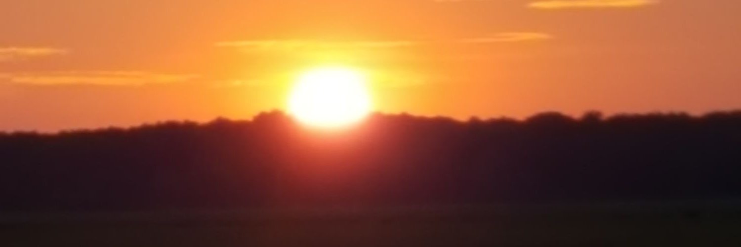 soulgifter's profile banner image
