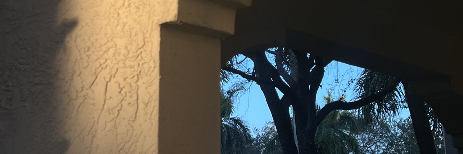 camifyn's profile banner image