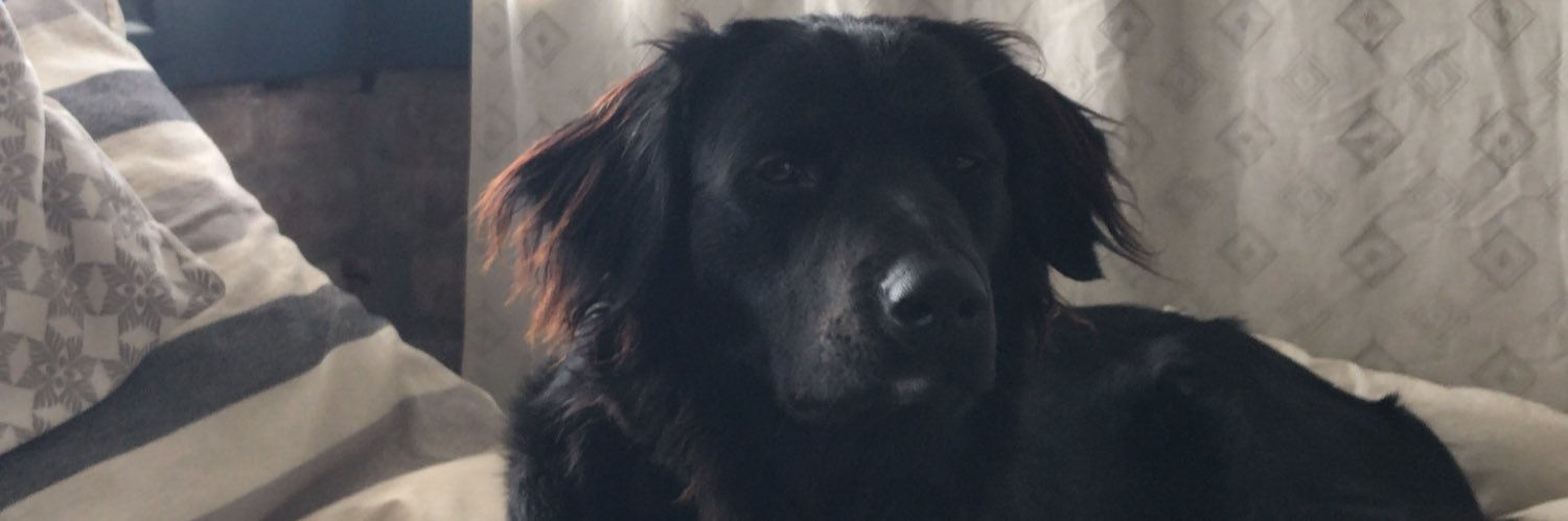 rapisardiim's profile banner image