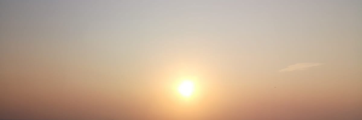 blackwhitenele's profile banner image