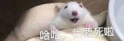 漫紳士 banner