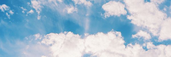 f__wisteria_ Profile Banner