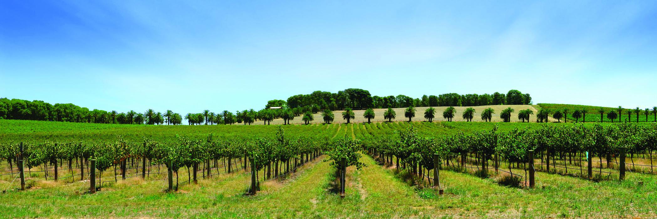 Urban Vintner banner