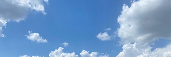 TheBeeMorris Profile Banner