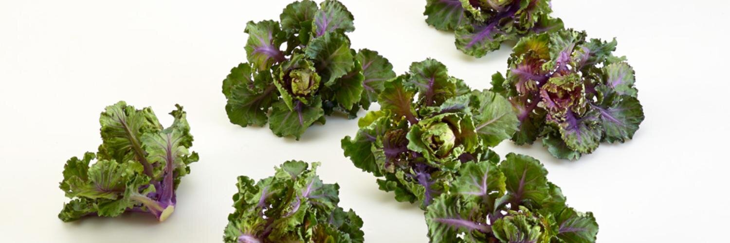 Kalettes's profile banner image