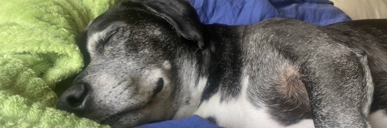 poshpants's profile banner image