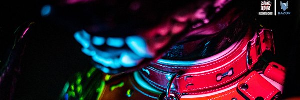 ShinySharkAD Profile Banner