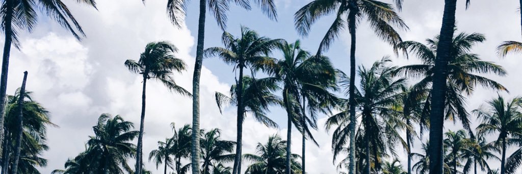 exequield_'s profile banner image