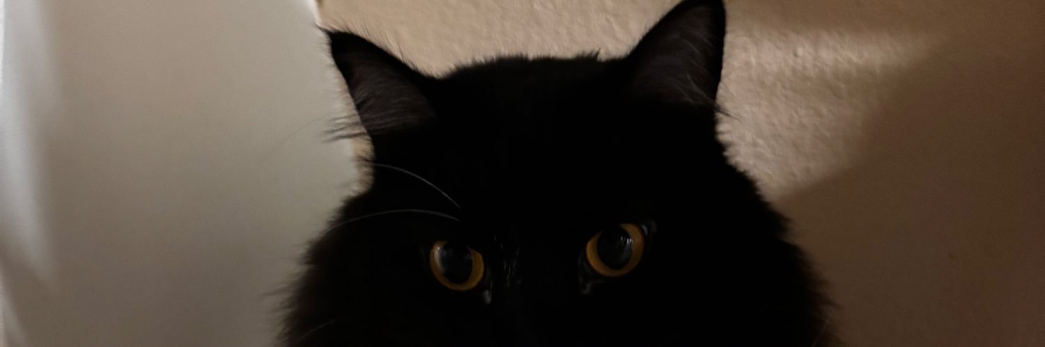 eryn_guzzy's profile banner image