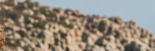XxGrimReeferxX's profile banner image